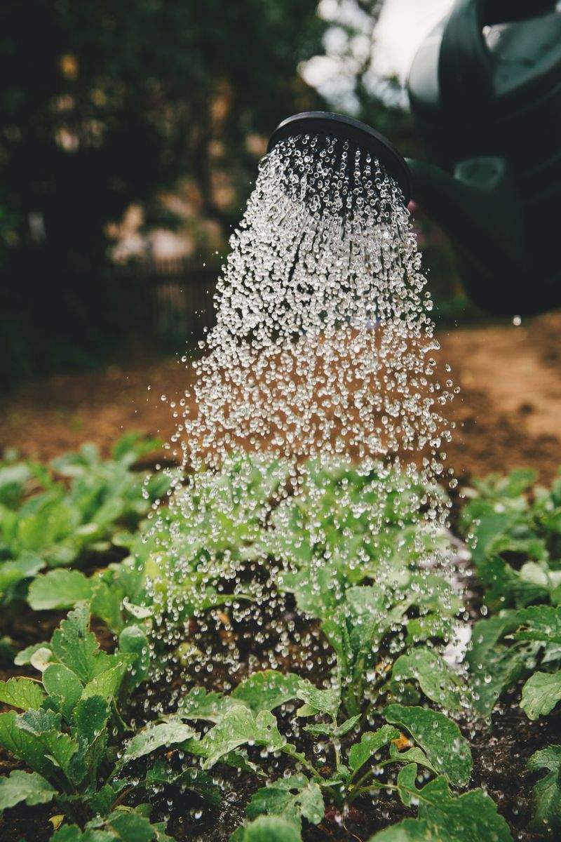 AlpenGrün Gartenpflege GmbH